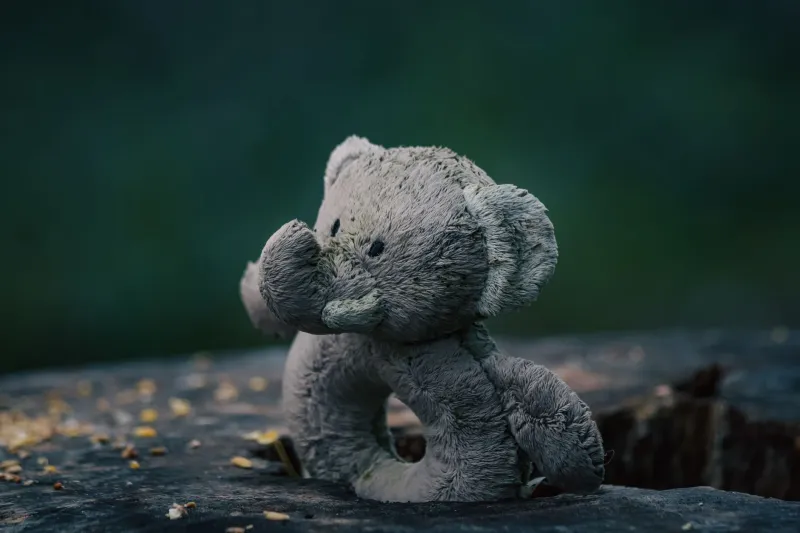 Doctor Is In: Why Your Kid Wants to Save Every Sad, Scruffy Plushie They've Ever Laid Eyes On