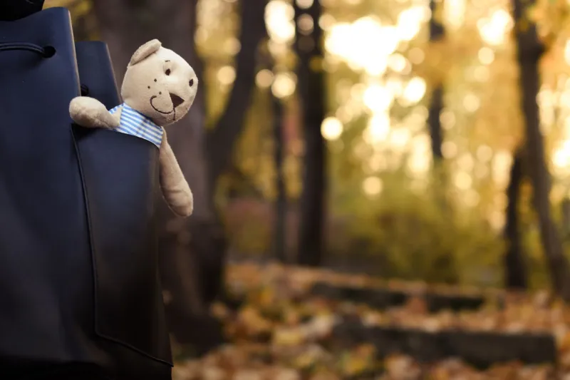 Tiny Thieves, Big Feelings: The Hilarious (and Actually Deep) Reason Kids Try to Walk Off With Their Friends' Stuffed Animals