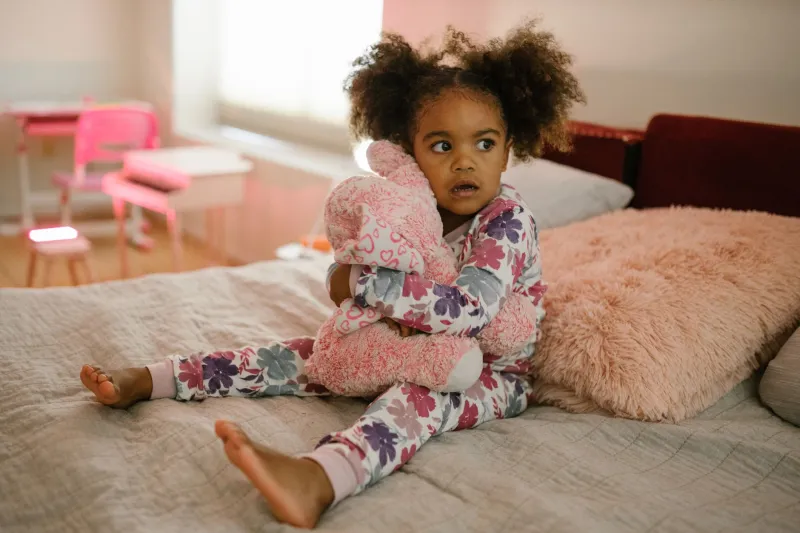 Undercover Plushies: The Secret Hideouts Your Kid Is Building (and What They're Really Trying to Tell You)